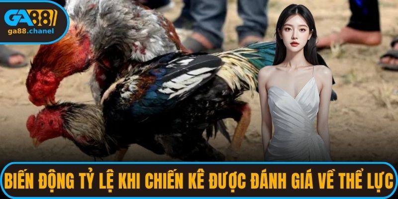 Biến động tỷ lệ  khi các chiến kê được đánh giá về thể lực