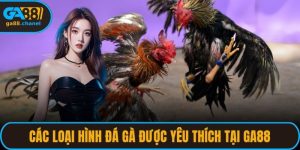 Các Loại Hình Đá Gà Được Yêu Thích Tại GA88