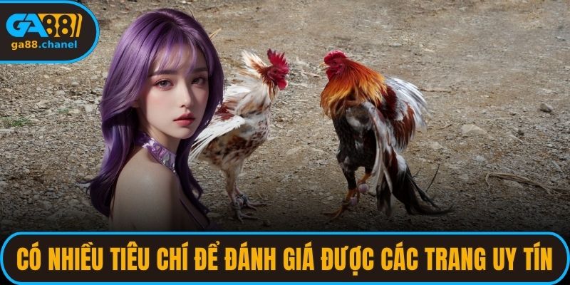 Có nhiều tiêu chí để đánh giá được các trang uy tín