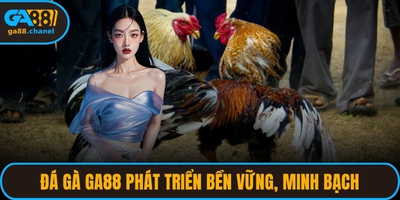 Đá gà GA88 phát triển thương hiệu bền vững, minh bạch
