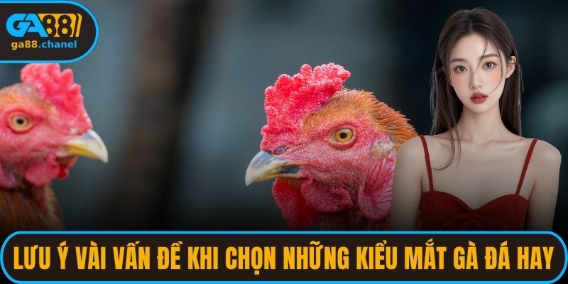 Lưu ý vài vấn đề khi chọn những kiểu mắt gà đá hay