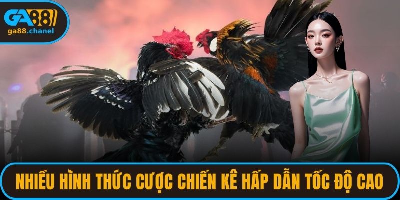 Nhiều hình thức cược chiến kê hấp dẫn cùng tốc độ cao