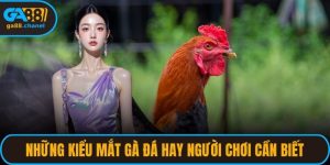Những Kiểu Mắt Gà Đá Hay Người Chơi Cần Biết