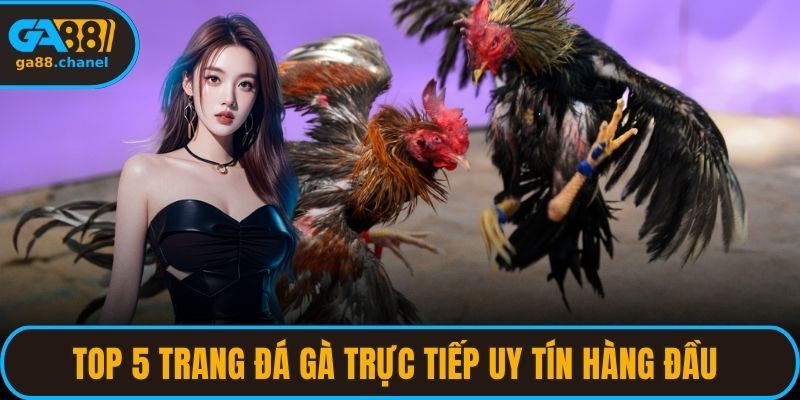 Top 5 Trang Đá Gà Trực Tiếp Uy Tín Hàng Đầu