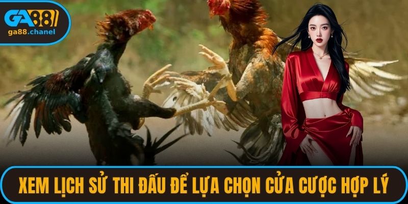 Xem lịch sử thi đấu gần đây để lựa chọn cửa cược hợp lý
