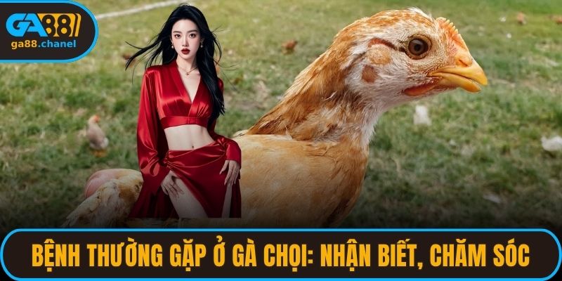 bệnh thường gặp ở gà chọi