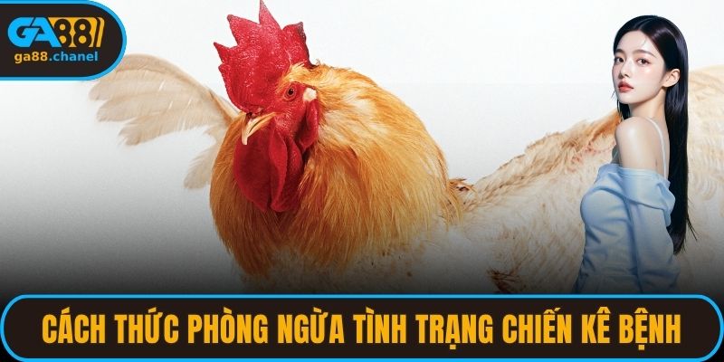 Cách thức phòng ngừa tình trạng chiến kê bệnh