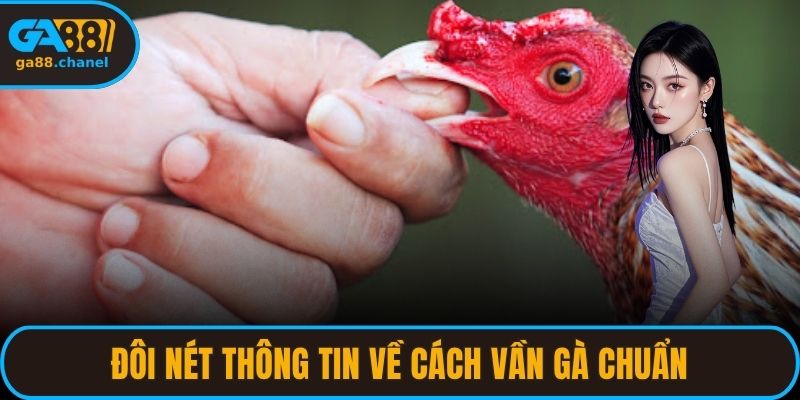 Đôi nét thông tin về cách vần gà chuẩn