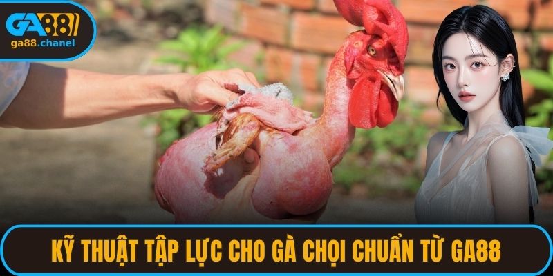 kỹ thuật tập lực cho gà chọi chuẩn từ ga88