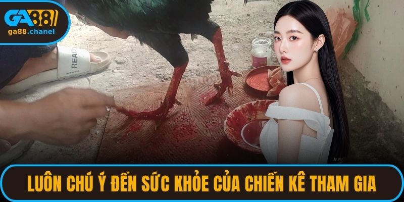 Luôn chú ý đến sức khỏe của chiến kê tham gia