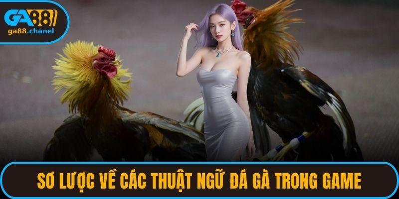 Sơ lược về các thuật ngữ đá gà trong game