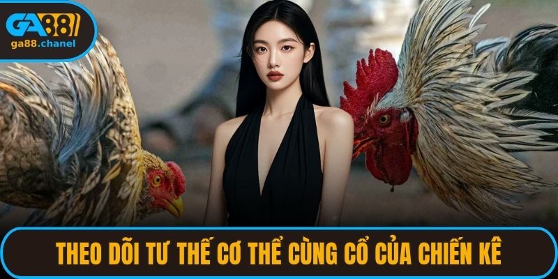 Theo dõi tư thế cơ thể cùng cổ của chiến kê