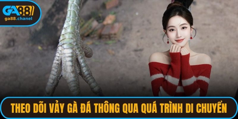 Theo dõi vảy gà đá hay thông qua quá trình di chuyển