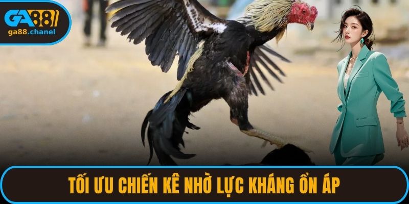 Tối ưu chiến kê nhờ lực kháng ổn áp