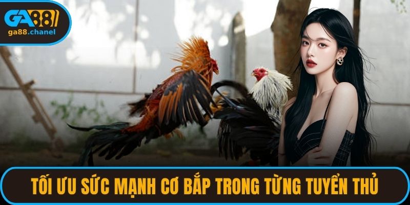 Tối ưu sức mạnh cơ bắp trong từng tuyển thủ