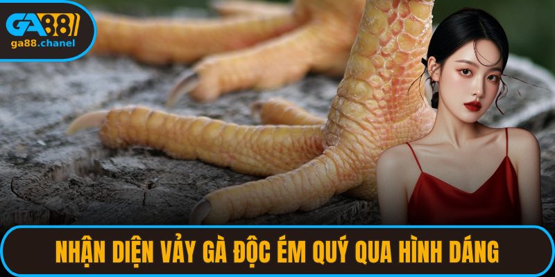 Nhận diện vảy gà độc ém quý qua hình dáng