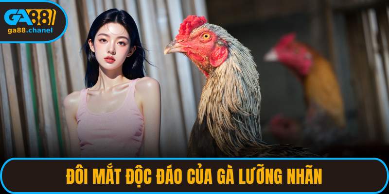 Đôi mắt độc đáo của gà lưỡng nhãn