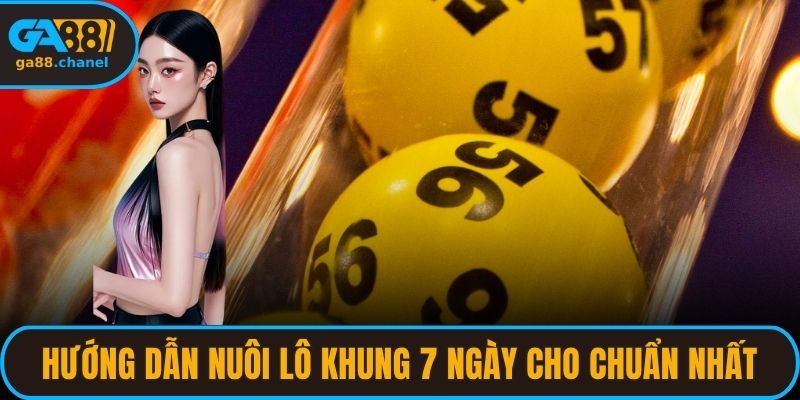 Hướng dẫn nuôi lô khung 7 ngày cho chuẩn nhất