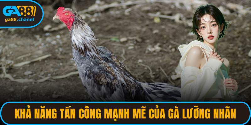 Khả năng tấn công mạnh mẽ của gà lưỡng nhãn