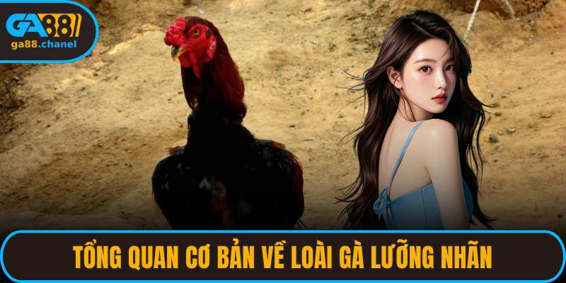 Tổng quan cơ bản về loài gà lưỡng nhãn